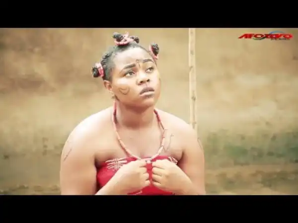 Obi Ifu - 2019